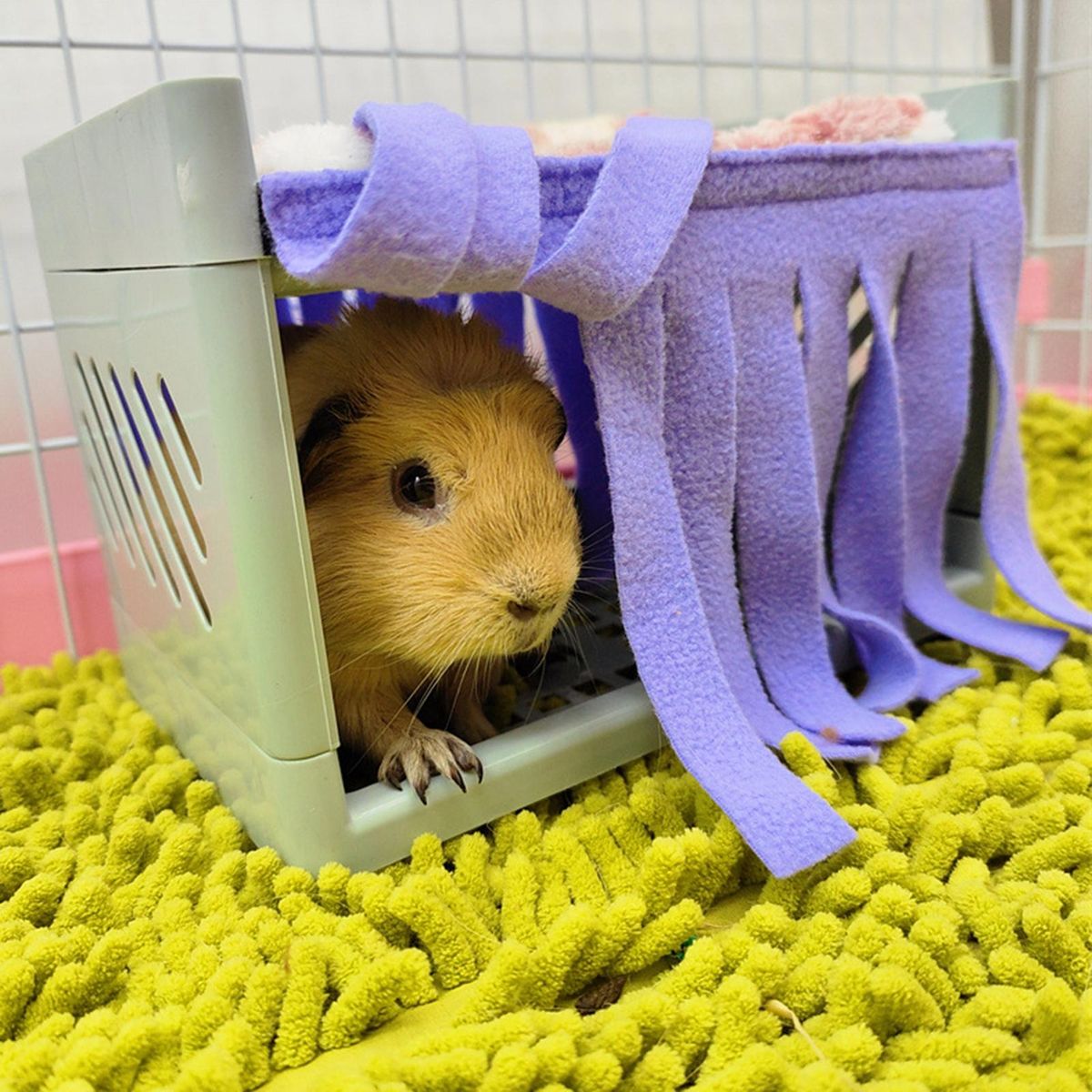 2Pcs Hamster Den Tassel Guinea Pig Hamster Pets Bed Tassel Purple
