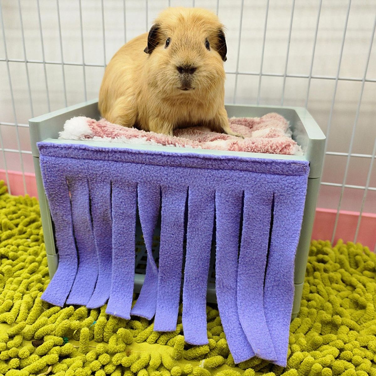 2Pcs Hamster Den Tassel Guinea Pig Hamster Pets Bed Tassel Purple