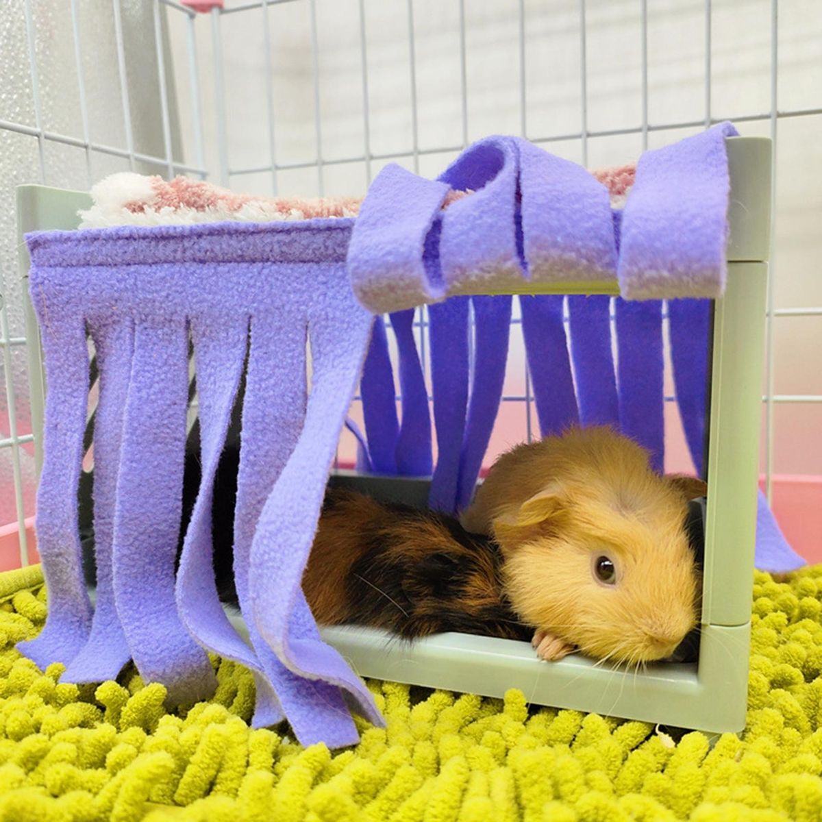 2Pcs Hamster Den Tassel Guinea Pig Hamster Pets Bed Tassel Purple