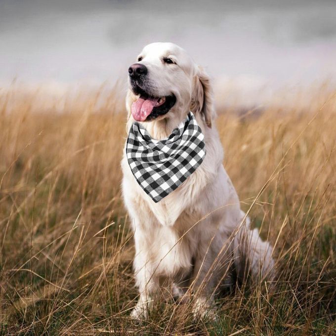 Cute Adjustable Dog Bandana Collar Puppy Pet Cat Neckerchief White