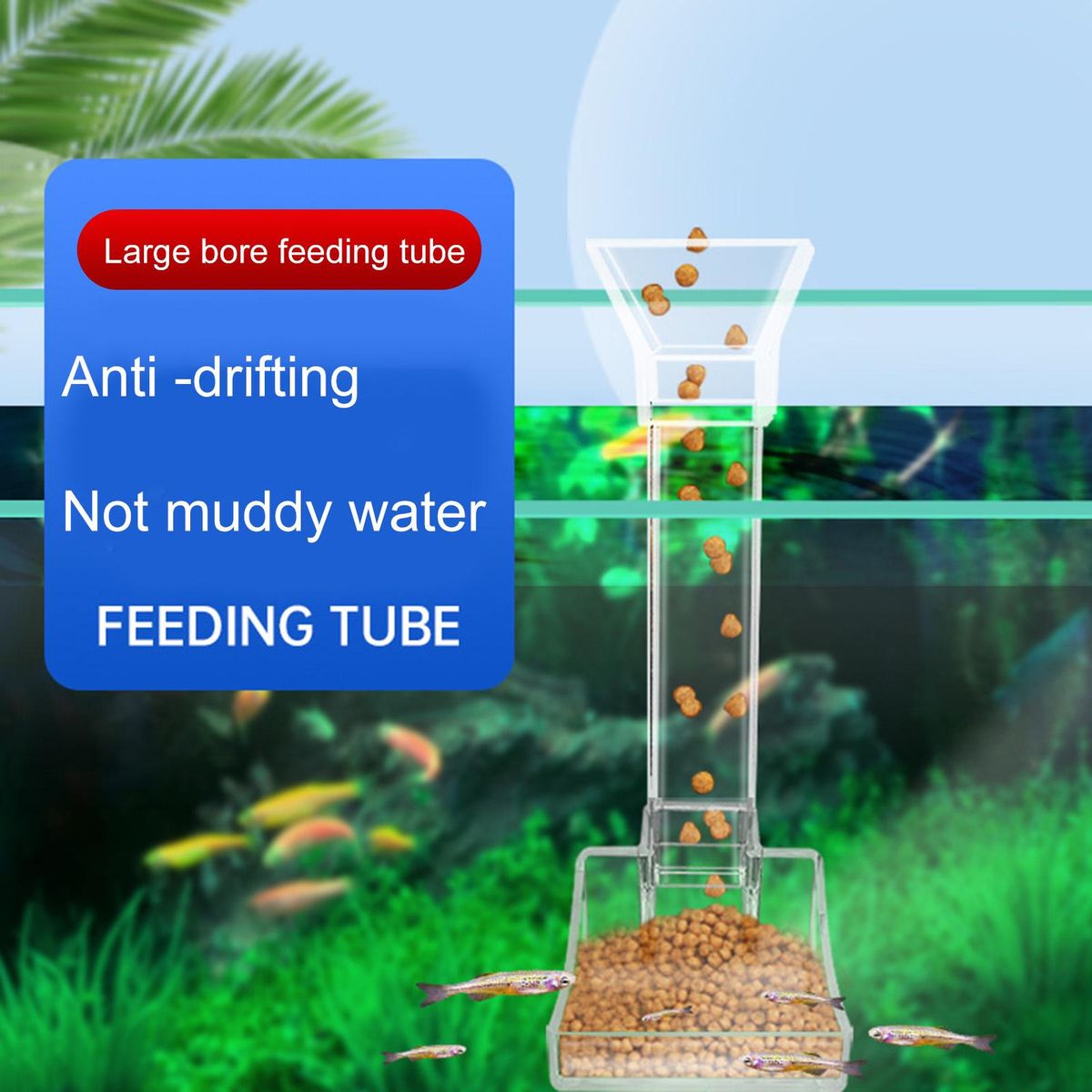 1 Set Feeding Tube Funnel Shape Aquarium Feeding Dish Feeder Transparent