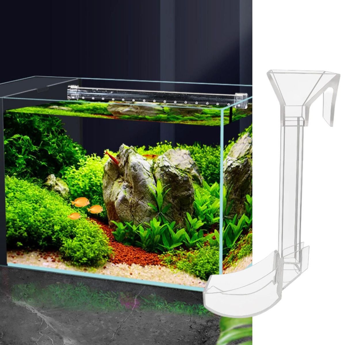 1 Set Feeding Tube Funnel Shape Aquarium Feeding Dish Feeder Transparent