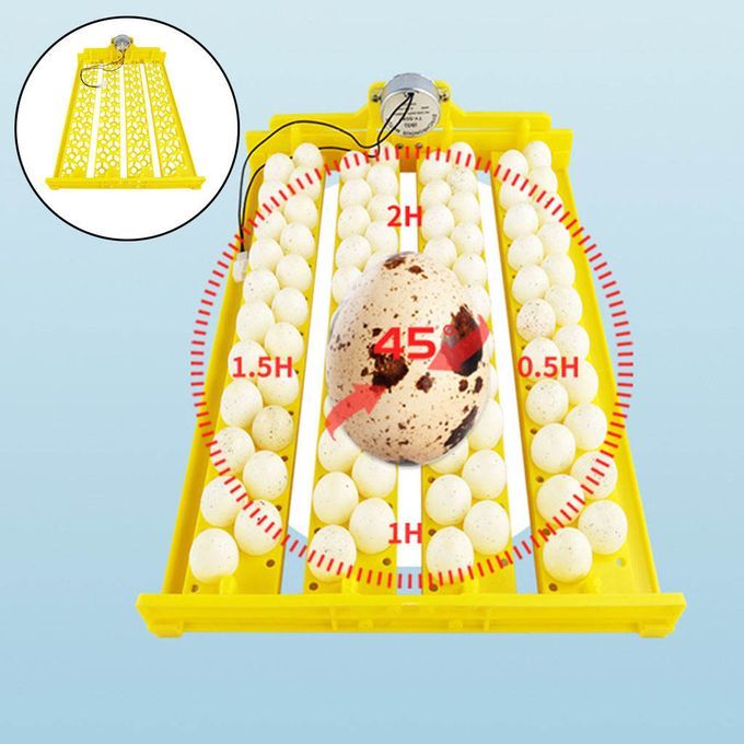 Mini Incubator 88 Eggs Poultry With Motor Brooder Automatic DC 12V
