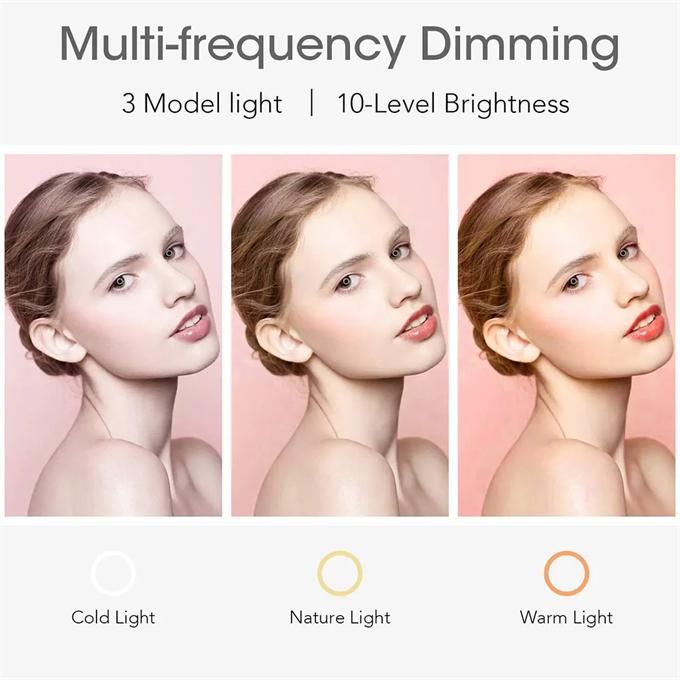 26cm LED Ring Light USB Desktop Projector Tripod Kit for Camera Mobile Selfie Youtube Live Video Photography Ring Light