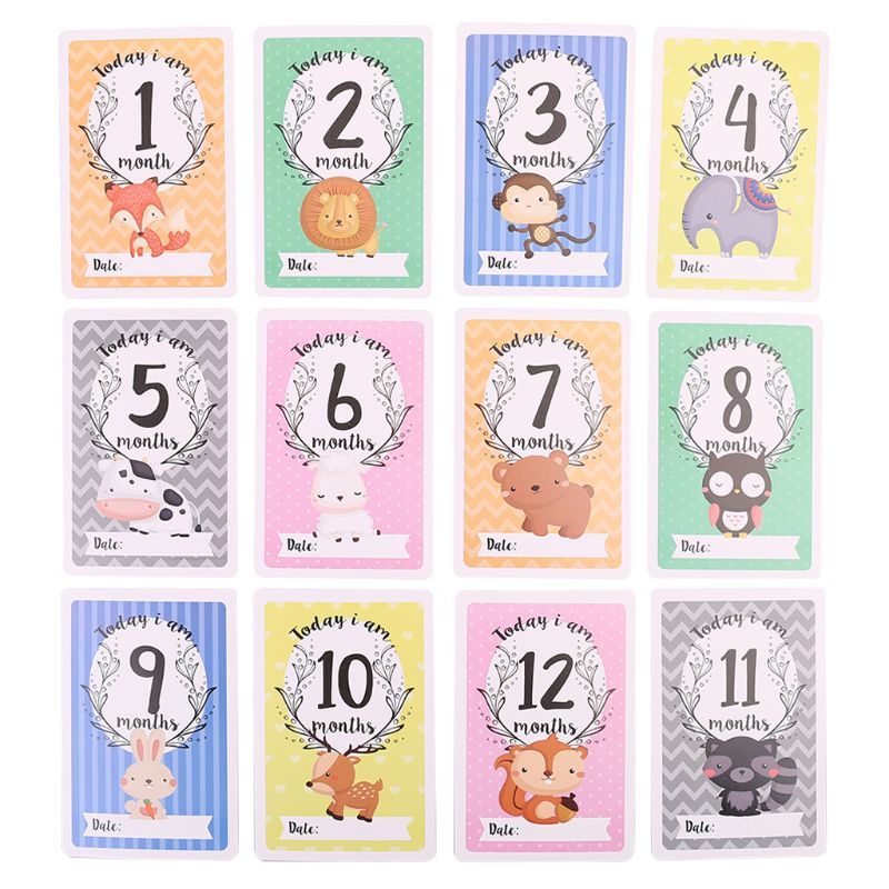 12 Sheet Milestone Photo Sharing Cards Gift Set Baby Age