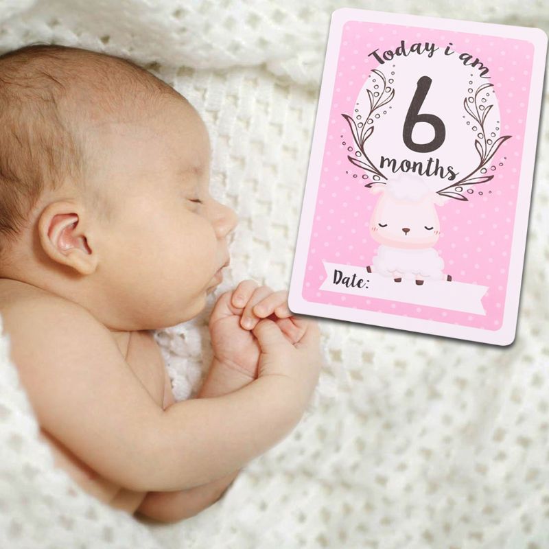 12 Sheet Milestone Photo Sharing Cards Gift Set Baby Age