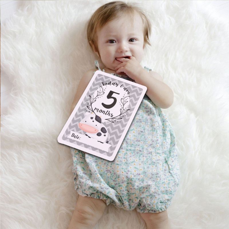 12 Sheet Milestone Photo Sharing Cards Gift Set Baby Age