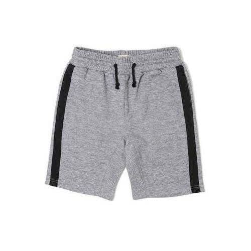 Grey Short With Black Stripe
