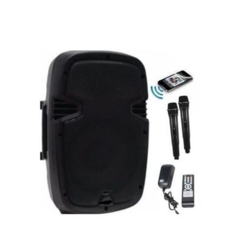 8'' Rechargeable Public Address System With 2 Microphones And Remote Control