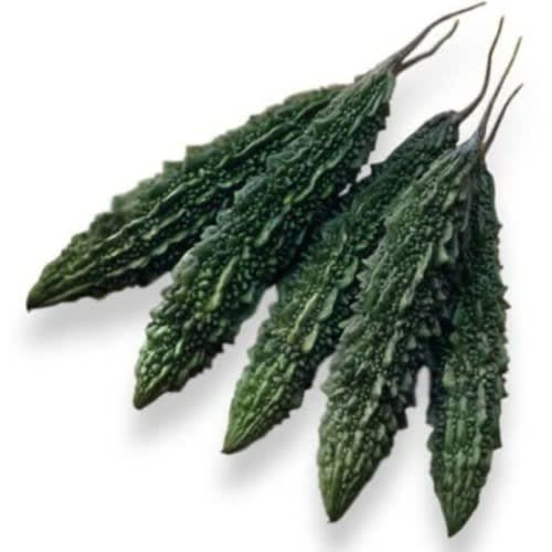 East-West Hybrid Bitter Gourd Seed (Palee F1) - 10g