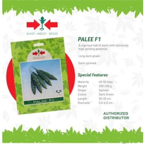 East-West Hybrid Bitter Gourd Seed (Palee F1) - 10g