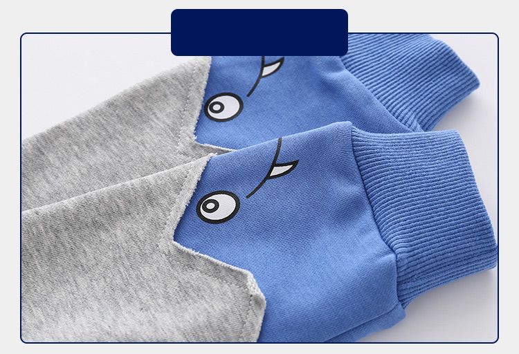 Cotton Kids Long Sleeve Boys Pullover Sweatshirts-Blue