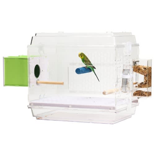 TD Acrylic Bird + Parrot Cage With Green Incubator