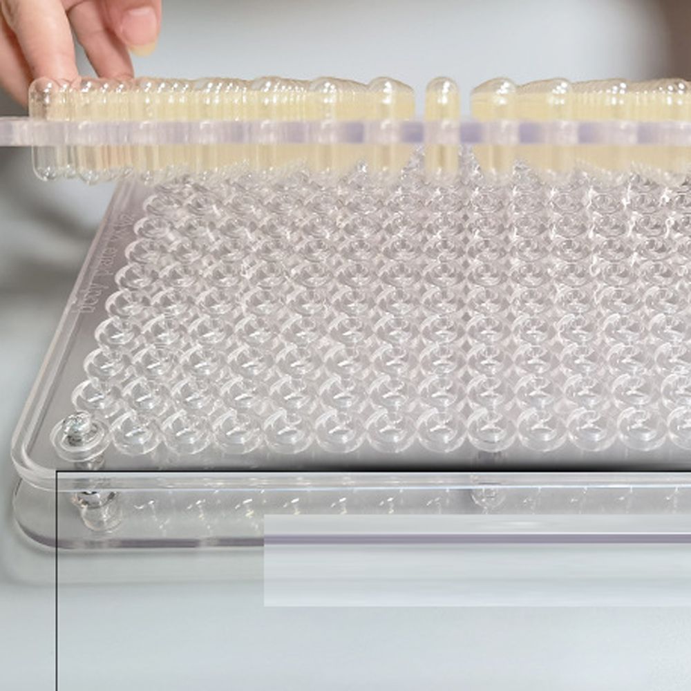 200 Holes #0 Manual Capsul Filler Capsule Filling Machine