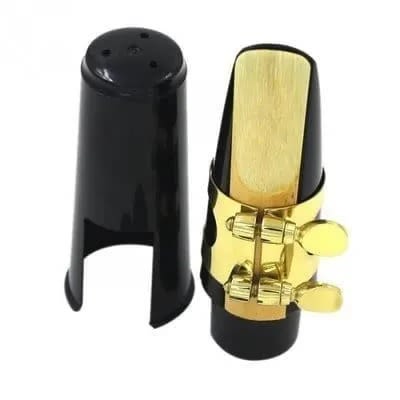 Alto Saxophone Mouth Piece