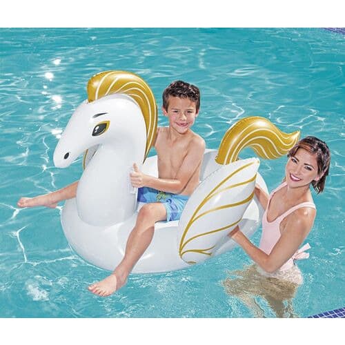 Pegasus Ride-on - 24x24x6cm