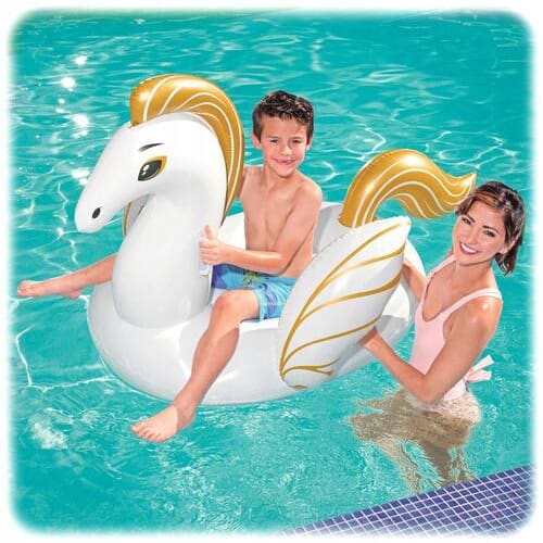 Pegasus Ride-on - 24x24x6cm