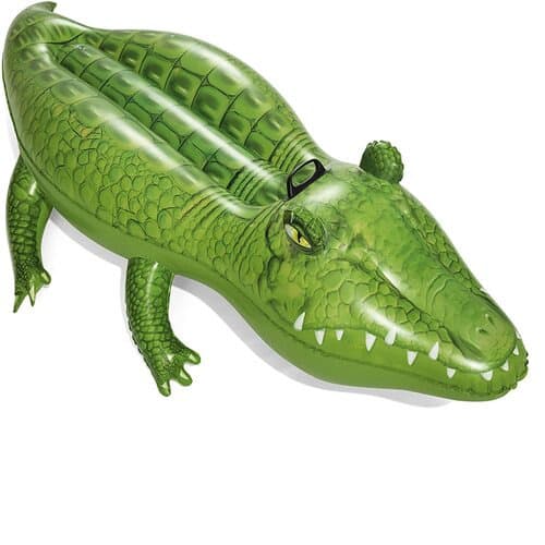 Crocodile Tube For Kids