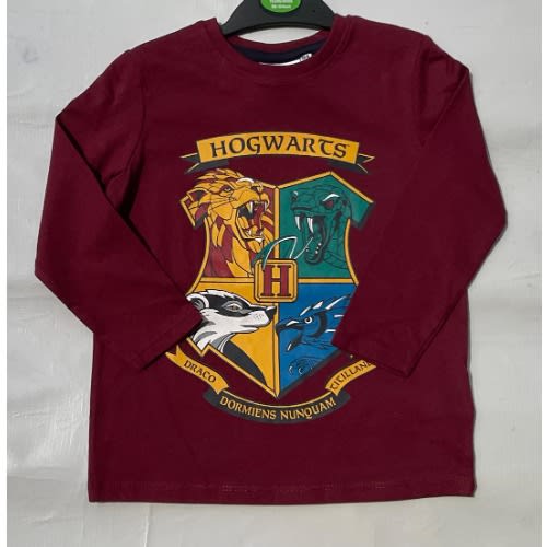 Harry Potter Longsleeve Tees