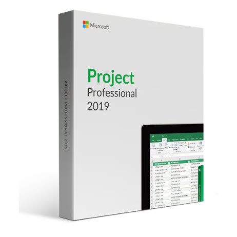 Microsoft Project 2019 Professional Binding