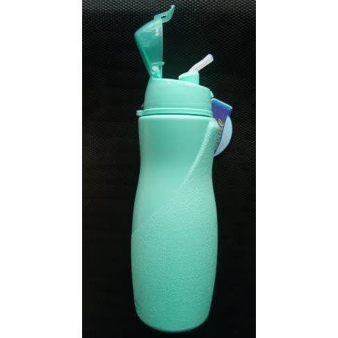 Water Bottle- With Straw - Sea Green