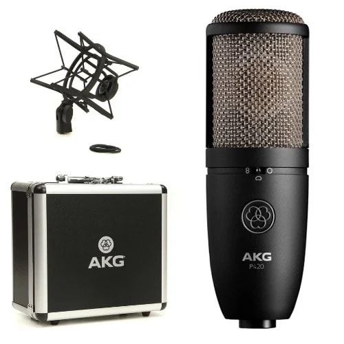 Dual-Capsule True Microphone - P420