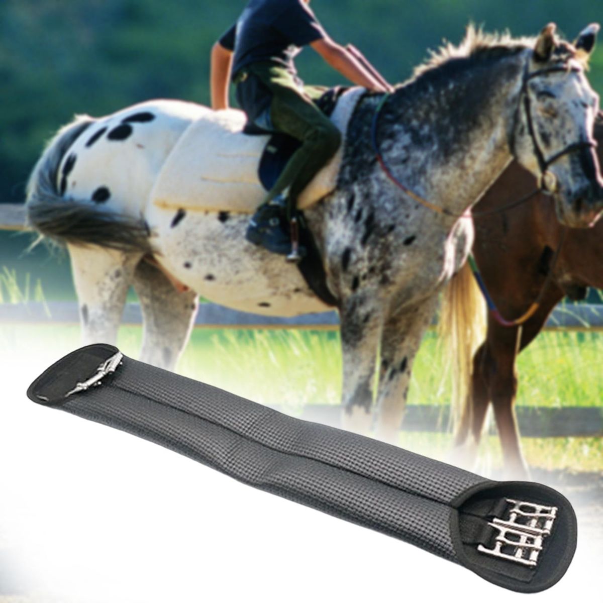 Horses Riding  Equestrian Safety Equipment For Horseback