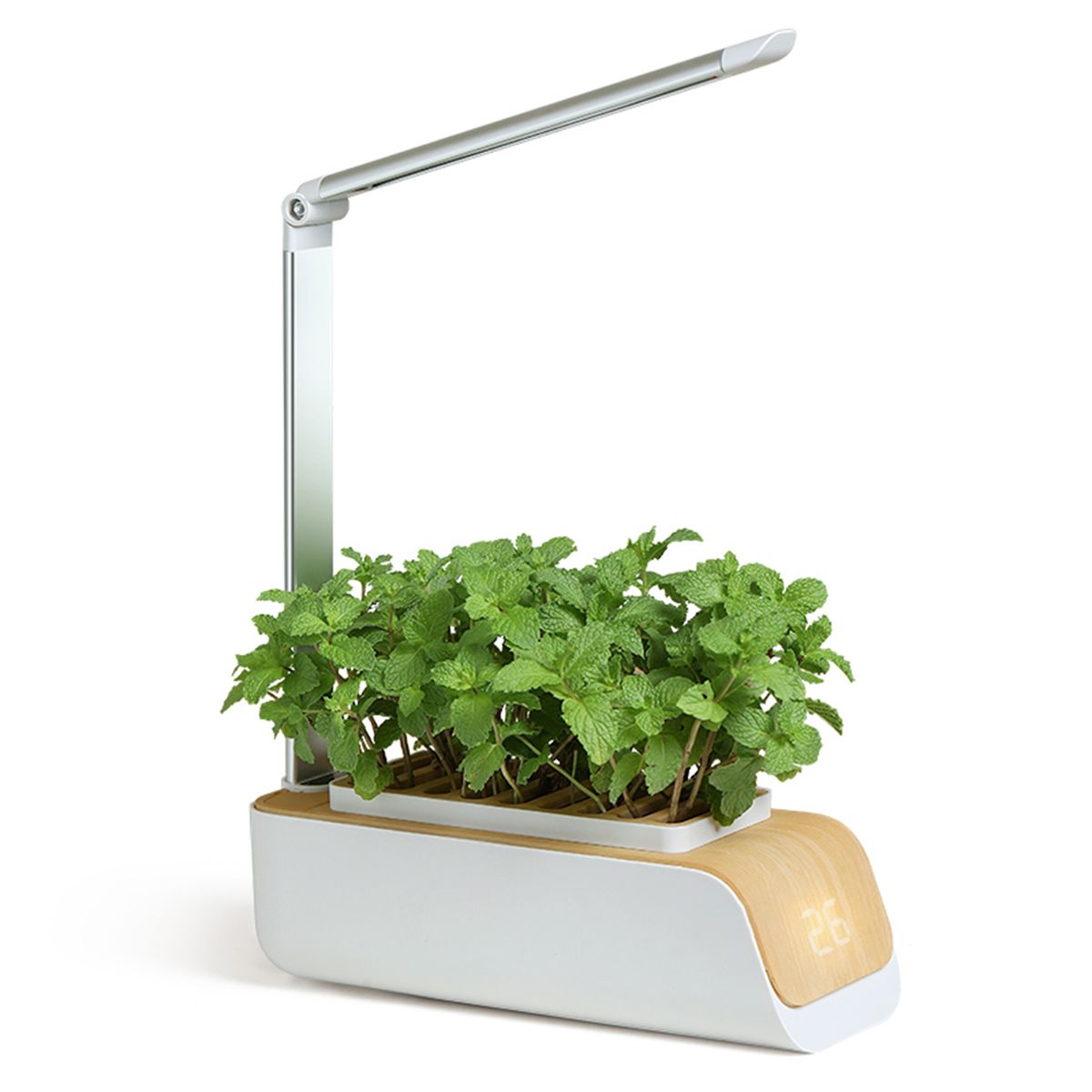 Hydroponics Growing System, Indoor Herb Garden Kit With Grow