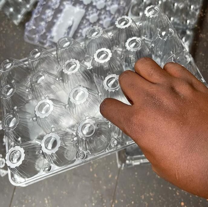 24 Holes Transparent Egg Crates