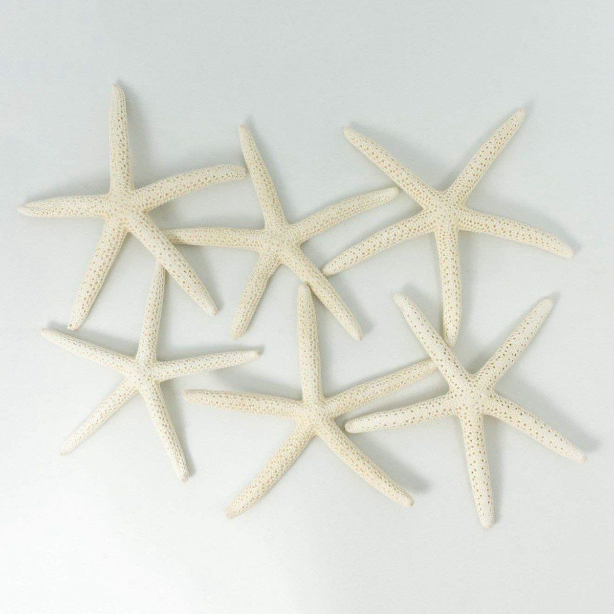 12PCS White Finger Starfish 5-10cm Decorative five-finger