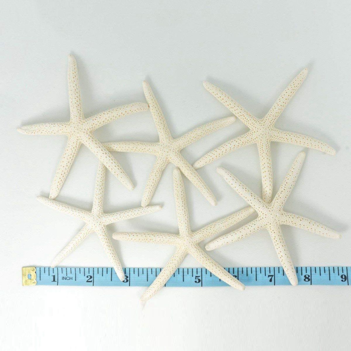 12PCS White Finger Starfish 5-10cm Decorative five-finger