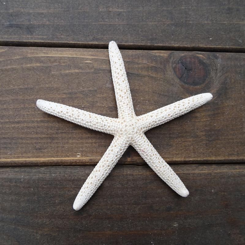 12PCS White Finger Starfish 5-10cm Decorative five-finger