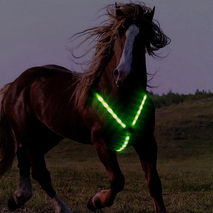 LED Horse Breastplate Collar Harness 3 Lighting Modes Night Green