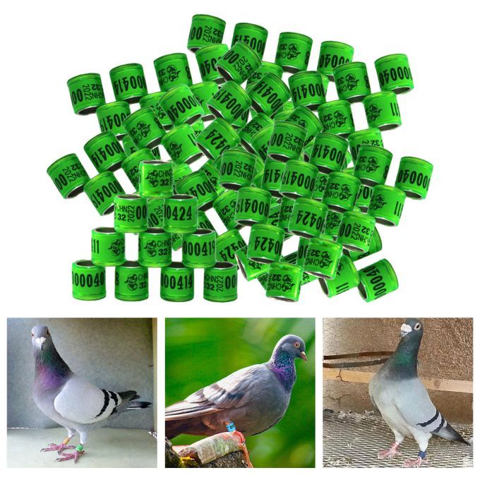 100Pcs 2022 Aluminium Bird Racing Pigeon Foot Rings Bands Grass Green