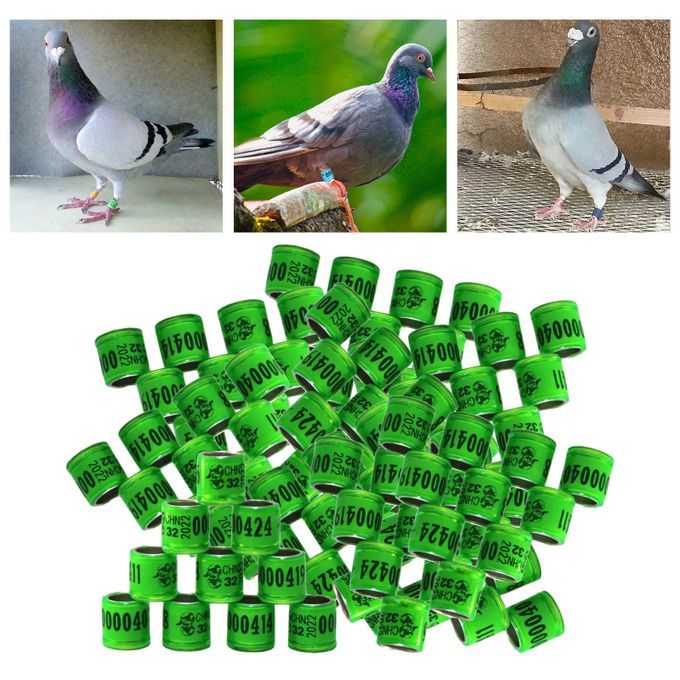 100Pcs 2022 Aluminium Bird Racing Pigeon Foot Rings Bands Grass Green