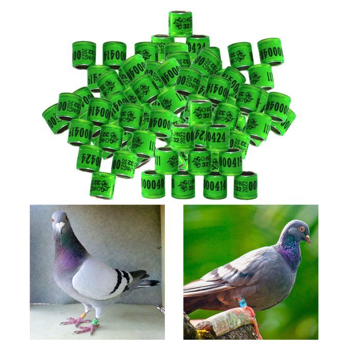 100Pcs 2022 Aluminium Bird Racing Pigeon Foot Rings Bands Grass Green