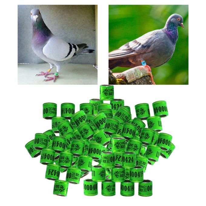 100Pcs 2022 Aluminium Bird Racing Pigeon Foot Rings Bands Grass Green