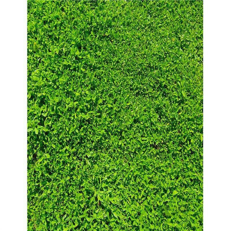 3x5FT Bright Green Grass Vinyl Photography Background Studio Backdrop Props