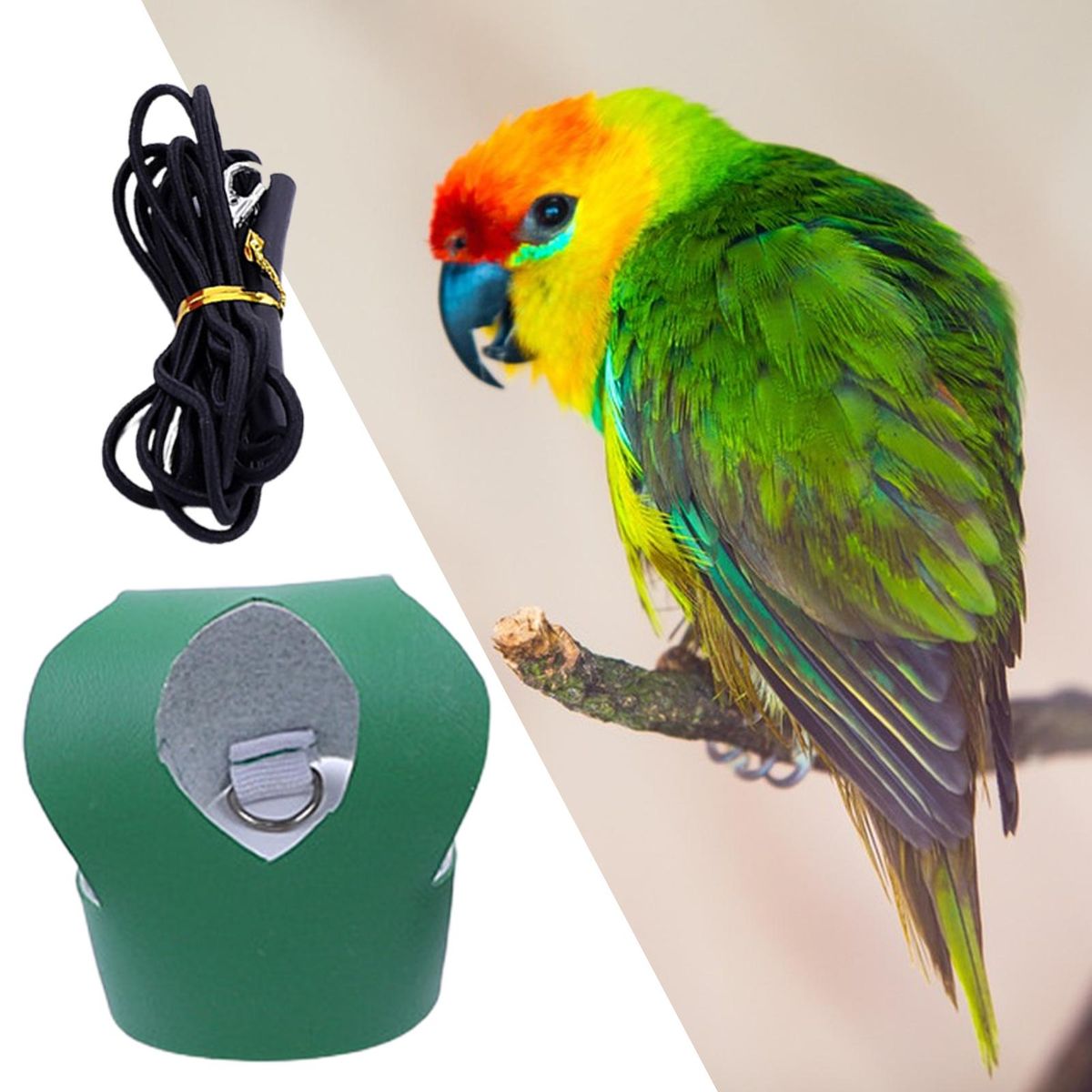 Bird Harness Parrot Bird Harness Leash Flying Rope Green