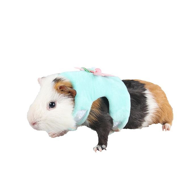 2pcs Soft Small Animal Pet Hamster Chinchilla Harness Vest Leash Lead