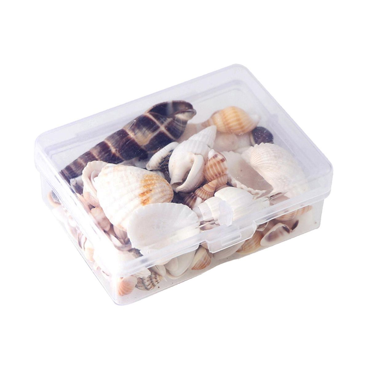 Beach Sea Shells Natural Conch Shells Loose Beads For Jewelry Making