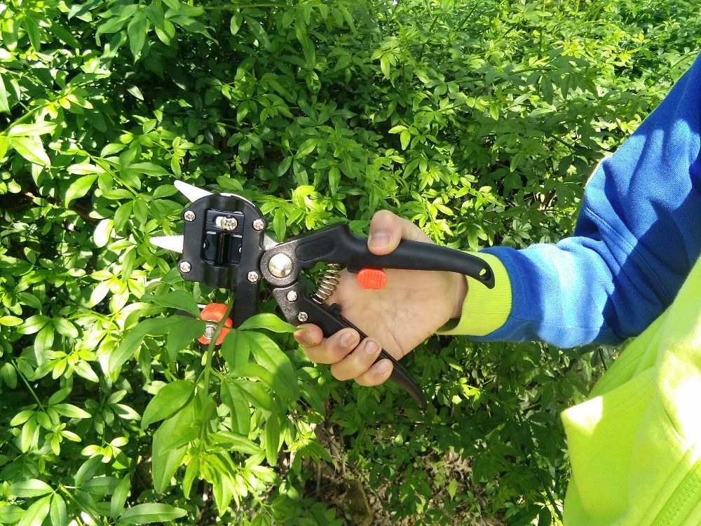 Newest Manual Cutting Grafting Seedlings Grafter Tool