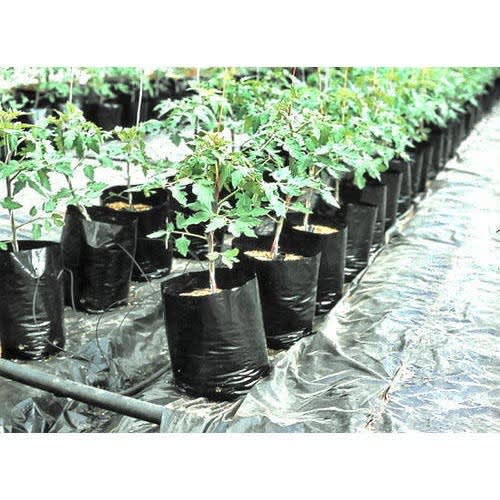 Grow Plant Nursery Bags (10x12 Inches) - 500 Pieces