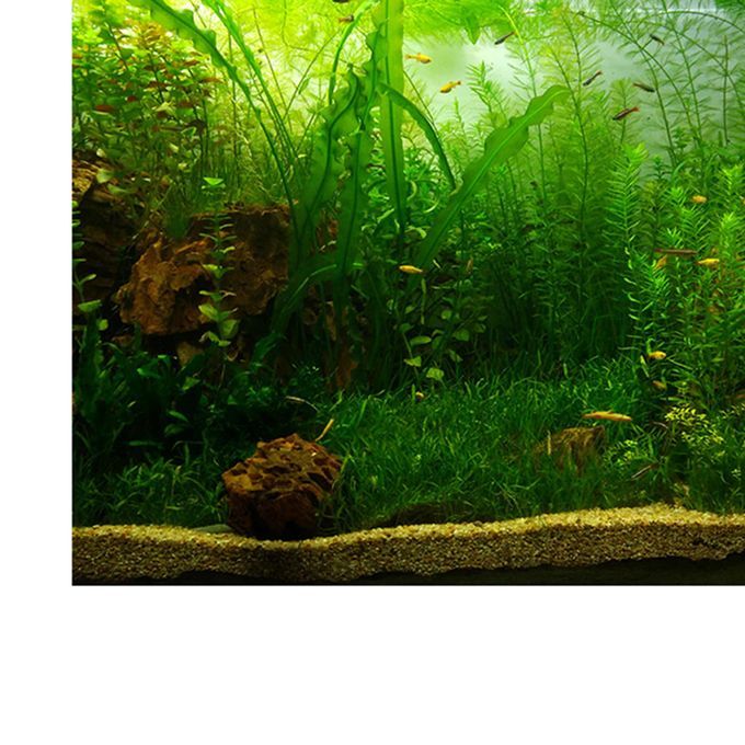 3D HD Background Paper Wallpaper Decor For Aquarium   Tank 61x41cm