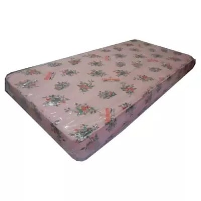 Vita Shine Mattress 6 By 3 By 8 Inches
