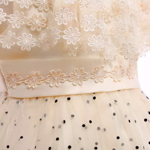 Girls Pokadot Party Dress