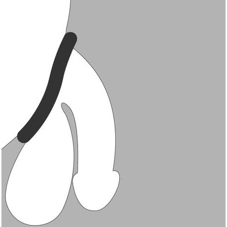 Stimulation Silicon Penis Rings Intense Feeling For Longer Performance