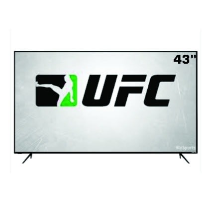 UFC 43