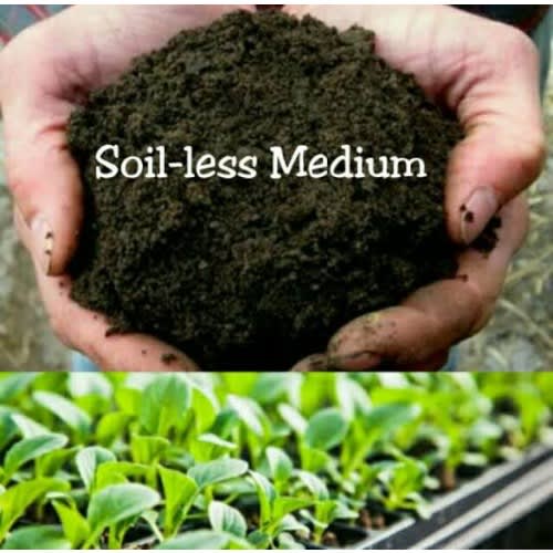 Soil Less Multipurpose Potting Soil - 40 Litres