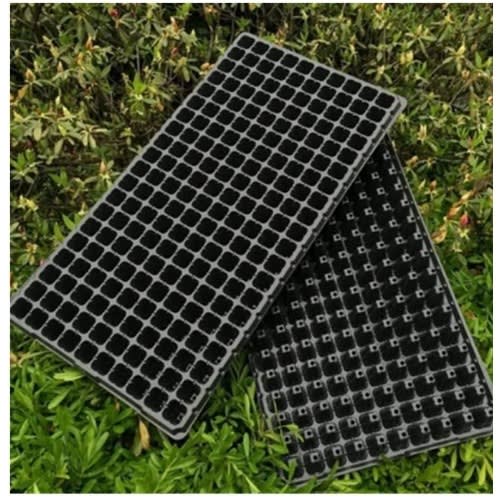Nursery Seed Tray - 10 Pack - 200 Holes